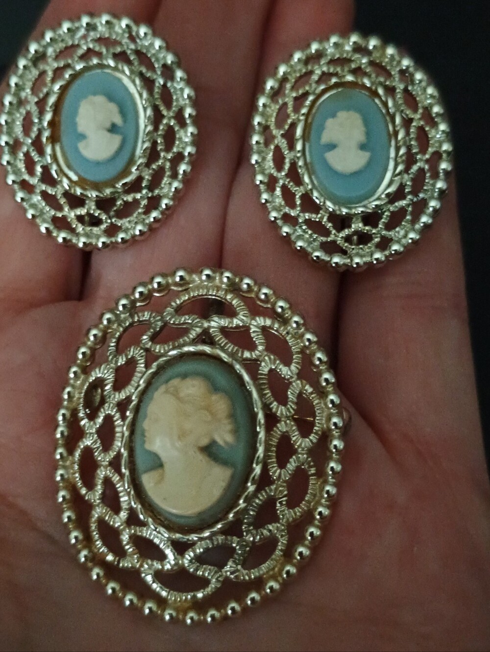 Vintage-Sara Coventry Blue Cameo Silver-Tone Brooch and Earring Set